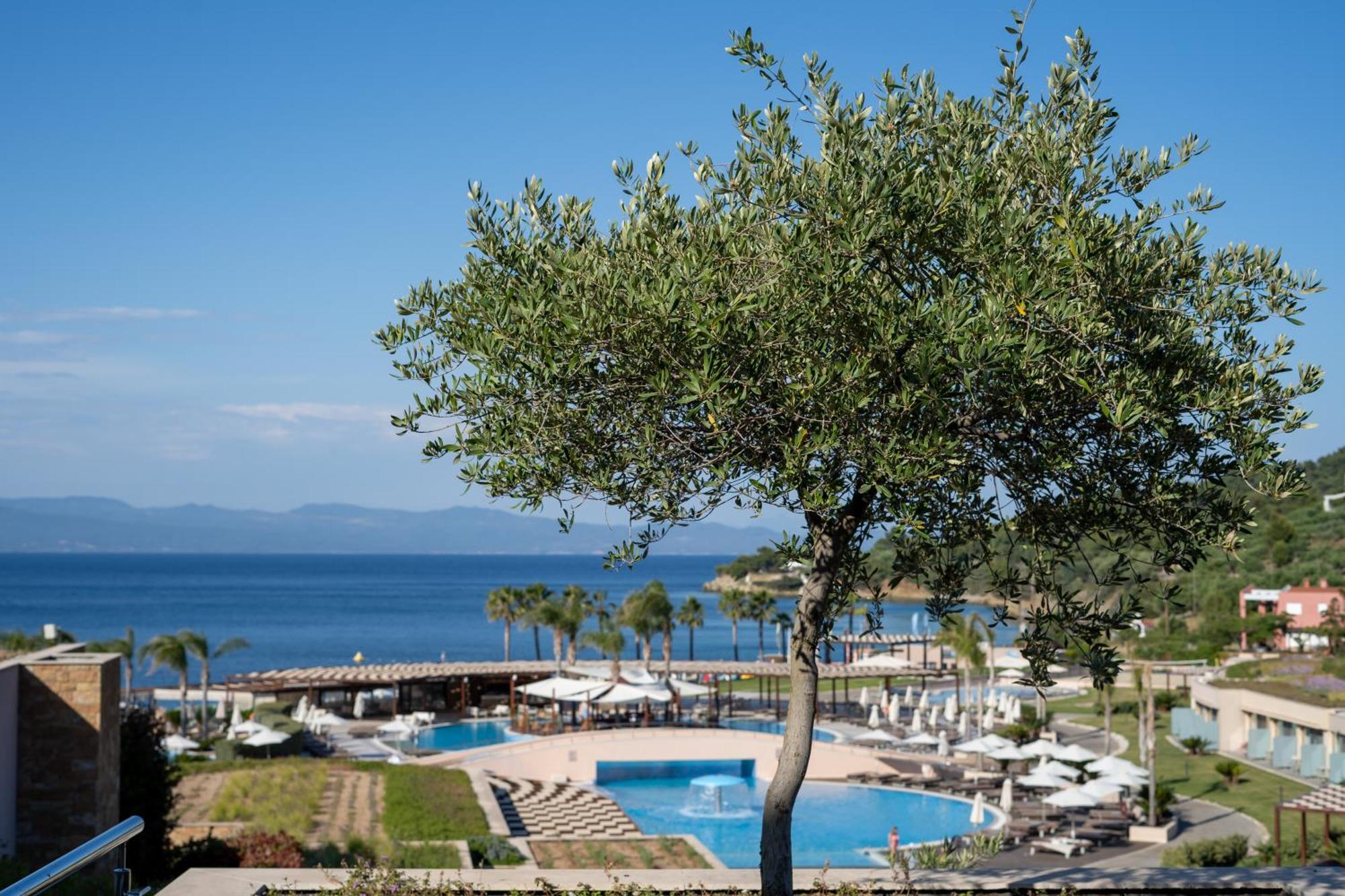 Miraggio Thermal Spa Resort Paliouri Bagian luar foto View of the bay of Nikiti